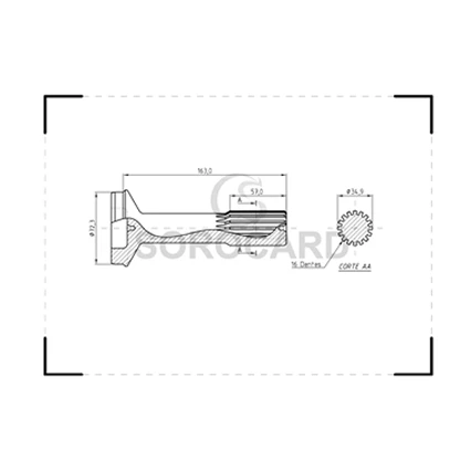 Group 1441 - 2025-08-28T162443.172