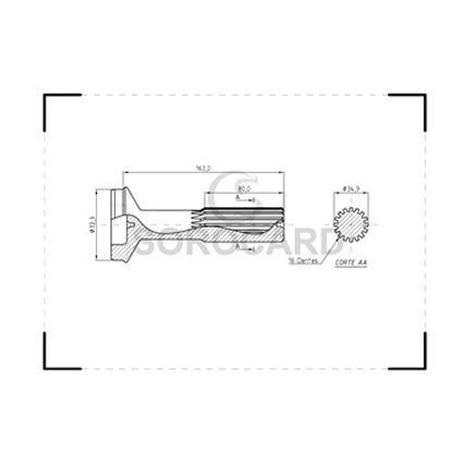 Group 1441 - 2025-08-28T162924.341