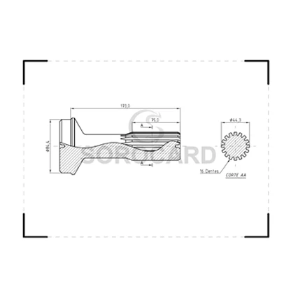 Group 1441 - 2025-08-29T094232.667