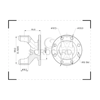 Group 1441 (91)