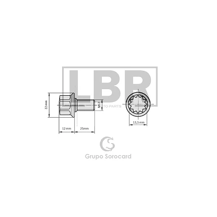 Group 1407 (53)