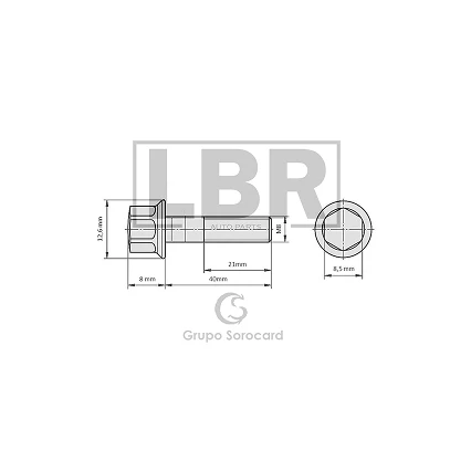 Group 1407 (54)