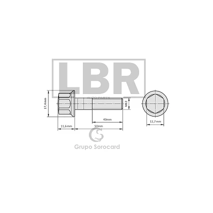 Group 1407 (55)