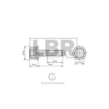 Group 1407 (56)