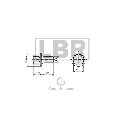 Group 1407 (57)